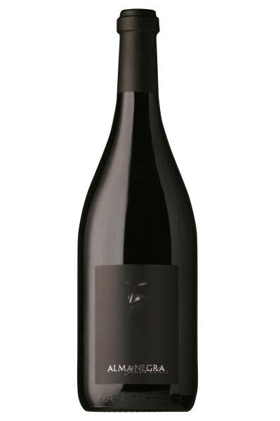 Vinho Tinto Ernesto Catena Alma Negra Pinot Noir Safra Ml