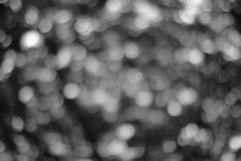 Extracto Bokeh Reluciente Blanco Y Negro Foto De Archivo Imagen De