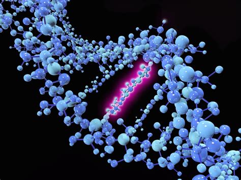 4 tipos de mutações de DNA e exemplos