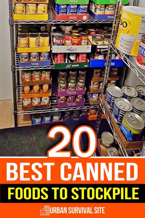 20 Best Canned Foods To Stockpile Artofit