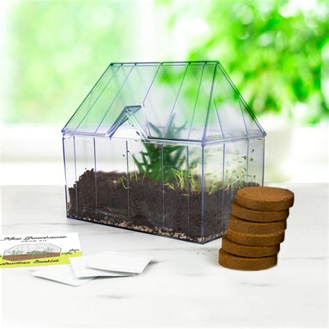 Mini Greenhouse Grow Kit