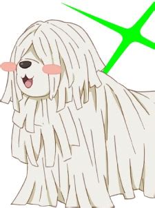 Dokyuu Hentai HxEros HxEros Report Animé Myutaku