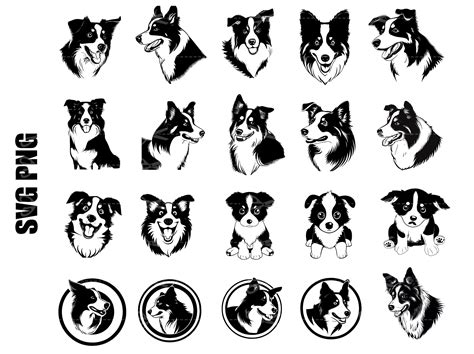 Border Collie Dog Svg Bundle Border Collie Head Svg Border Collie