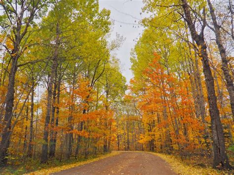 The 7 Best Places to See Fall Colors in Minnesota – HammockLiving