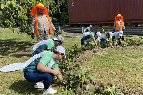 Realizan reforestación en el recinto portuario de Veracruz xeu