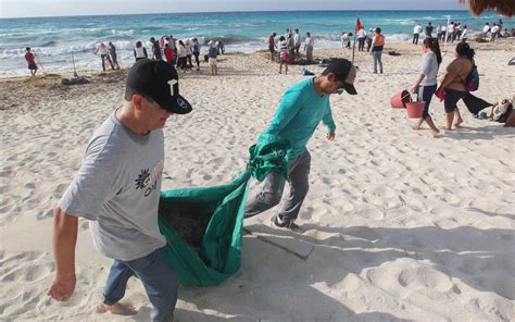 Recolectan 10 Toneladas De Sargazo En Costas Del Caribe Mexicano El