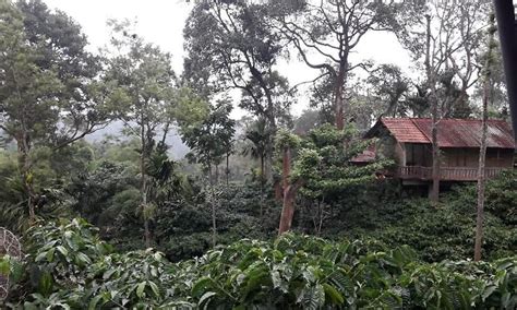 The Coffee County Resorts Wayanad Meppadi