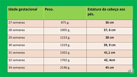 As Medidas Do Feto Idade Gestacional Pesodofeto Estaturadofeto