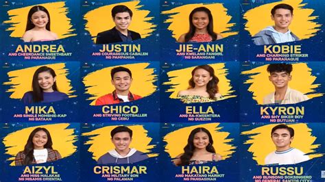 Pbb All In Housemates