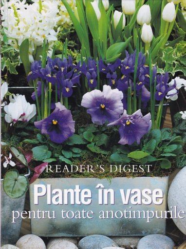 Plante In Vase Pentru Toate Anotimpurile Reader S Digest