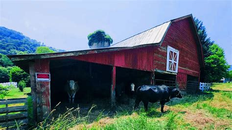 Explore Maggie Valley Historical Farmhouse