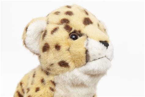 Wwf Anna Club Plush Cheetah Floppy Ms Rudolph S