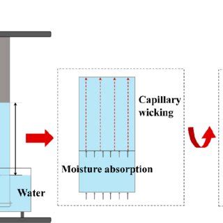 Water Wicking And Evaporating Occur Simultaneously In A Typical