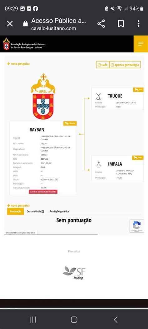 Poldro Psl Inteiro Esposende Marinhas E Gandra Olx Portugal