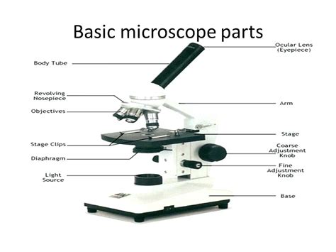 Blank Microscope Diagram