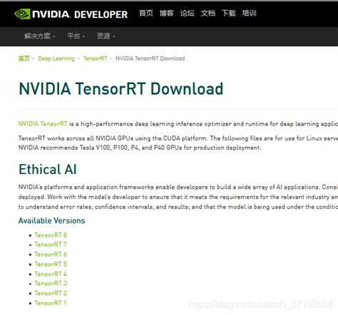 Onnx Tensorrt Insightface 实践 Insightface Tensorrt Csdn博客