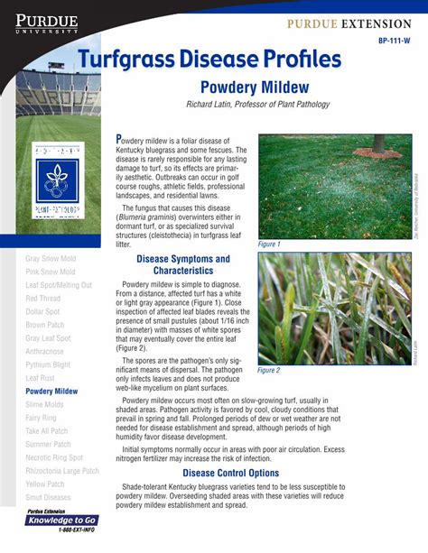 Pdf Bp W Turfgrass Disease Profiles Purdue Extension Pdf