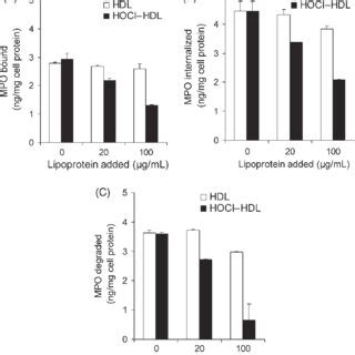 Myeloperoxidase Binding To HOCl Modified Lipoproteins A Albumin