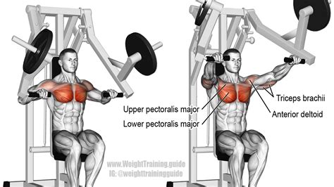 Best chest exercises for lower and upper chest | Weight Training Guide ...