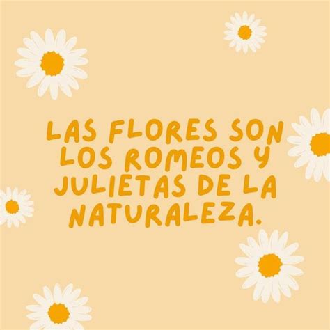 Estas Son Las Mejores Frases Y Mensajes Lindos Para Regalar Flores Amarillas El 21 De Marzo