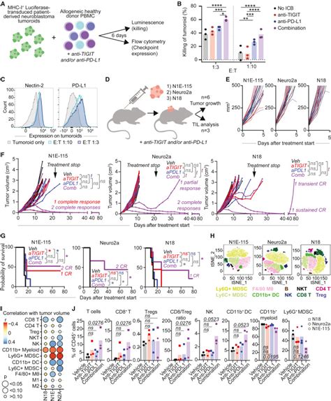 Integrative Analysis Of Neuroblastoma By Single Cell Rna Sequencing