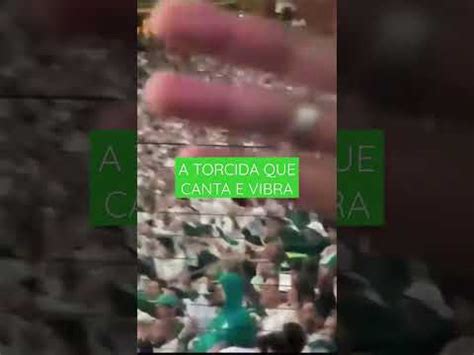 A TORCIDA QUE CANTA E VIBRA HOJE TEM PALMEIRAS Shorts Short