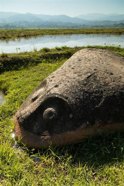One Of The Megaliths In The Bada Valley Sulawesi Island Stock Image