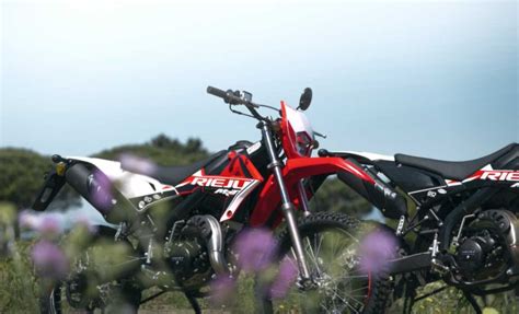 Motorrad Vergleich Beta RR 50 Enduro Racing 2021 Vs Rieju MRT 50 2024