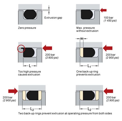 O Rings And Back Up Rings