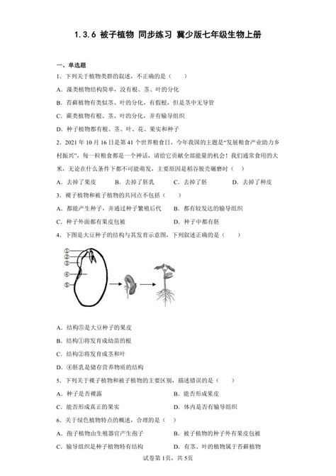 冀教版生物七年级上册 136 被子植物 同步练习 （附答案） 21世纪教育网