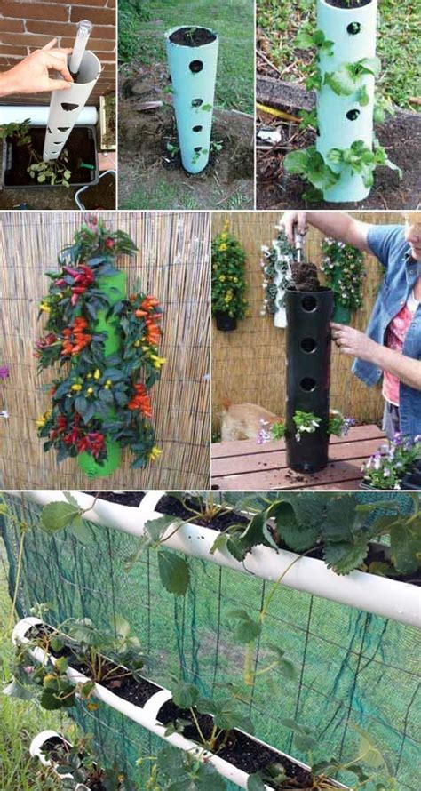 15 Diy Pvc Pipe Projects To Make Your Gardening Easier Lazytries