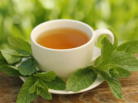 Infusiones De Menta Frescas Y Saludables Remedio Natural