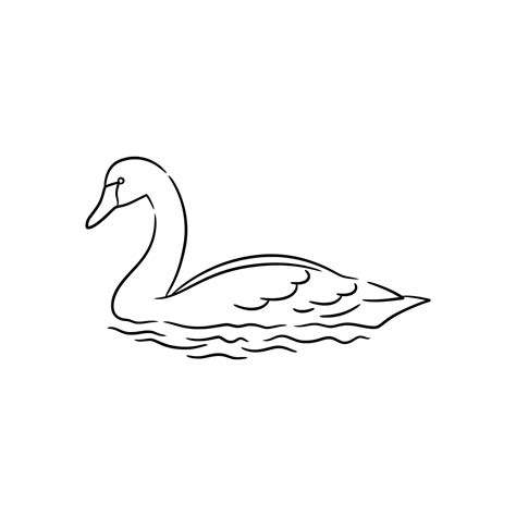 swan line art drawing illustration 18815671 Vector Art at Vecteezy