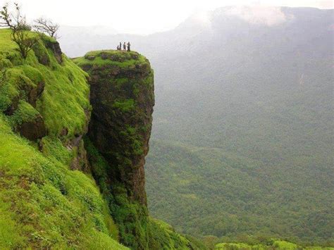 Nelliyampathy Hill Stations Tours Packages Destinations Places