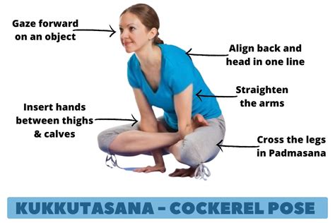 Kukkutasana Steps