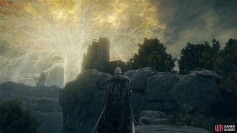 How to Find and Complete the Forest Lookout Tower in the Weeping ...