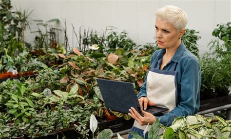 Planta de origem africana ganha admiradores no mundo todo o que é o