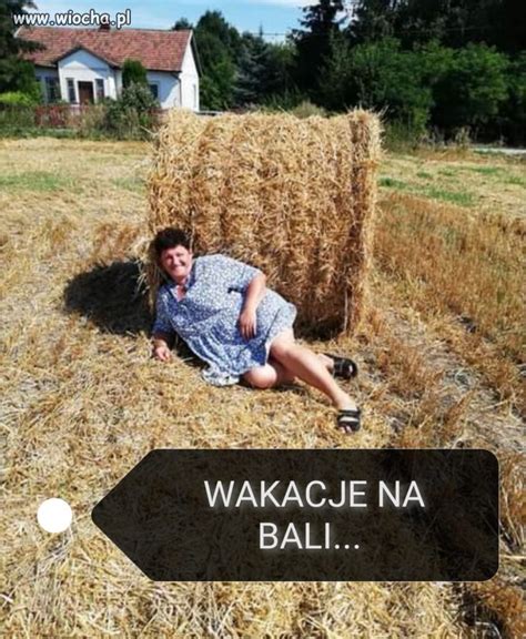 Wakacje Wakacje I Wiocha Pl Absurd 1640475