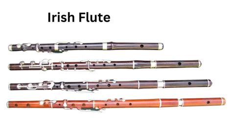 Ultimate Guide to 15 Types of Flutes: Best Pictures and Video