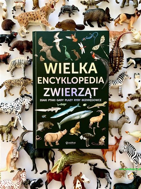 Wielka encyklopedia zwierząt Wydawnictwo PUBLICAT Blog o książkach