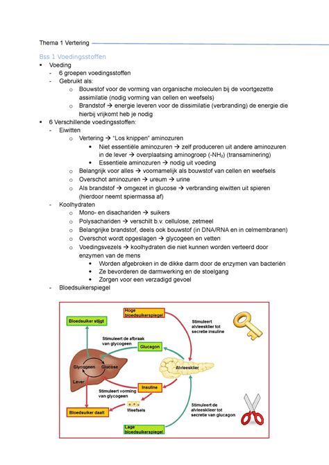 Samenvatting Biologie Thema 1 Vertering Thema 1 Vertering Bss 1