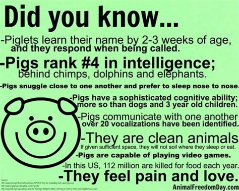 Some Facts About Pigs Hip Forums