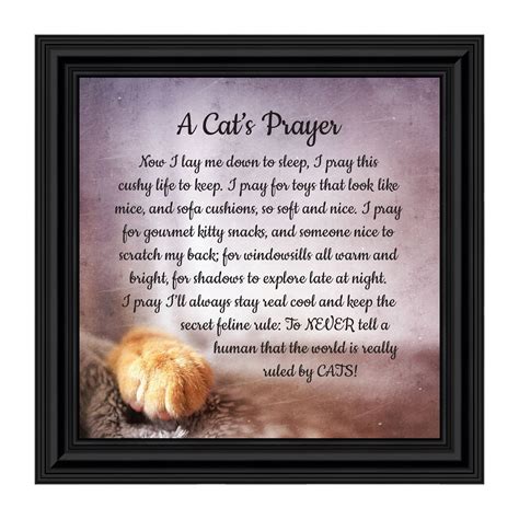 A Cats Prayer Pet Lover T Cat Or Kitten Paw Prints Picture Frame