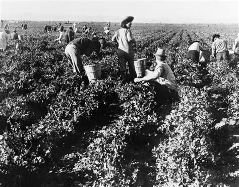 Farm Labor 1800