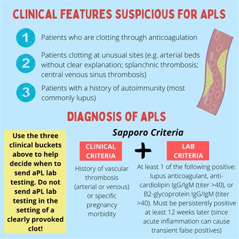 421 Antiphospholipid Syndrome With Dr Arielle Langer The Curbsiders