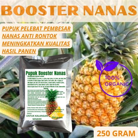 Jual Pupuk Organik Booster Perangsang Dan Pelebat Buah Nanas Agar Cepat