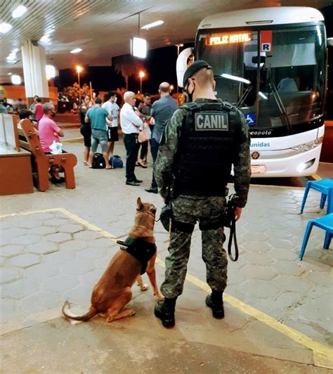 Polícia Militar Atua Com Cães Farejadores Na Operação Boas Festas Em