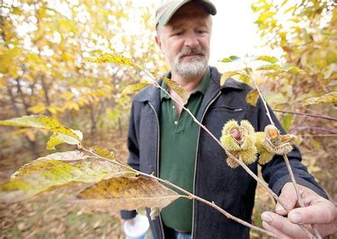 Hines Farm Blog Restoration Agriculture By Mark Shepard New