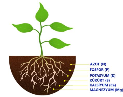 MAKRO BESİN ELEMENTLERİ All Nature Konya Tarım Konya Gübre