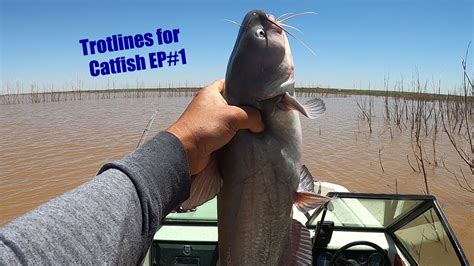 Trotlines For Catfish Ep1 Youtube